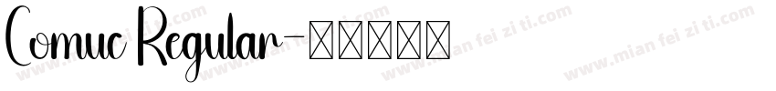 Comuc Regular字体转换